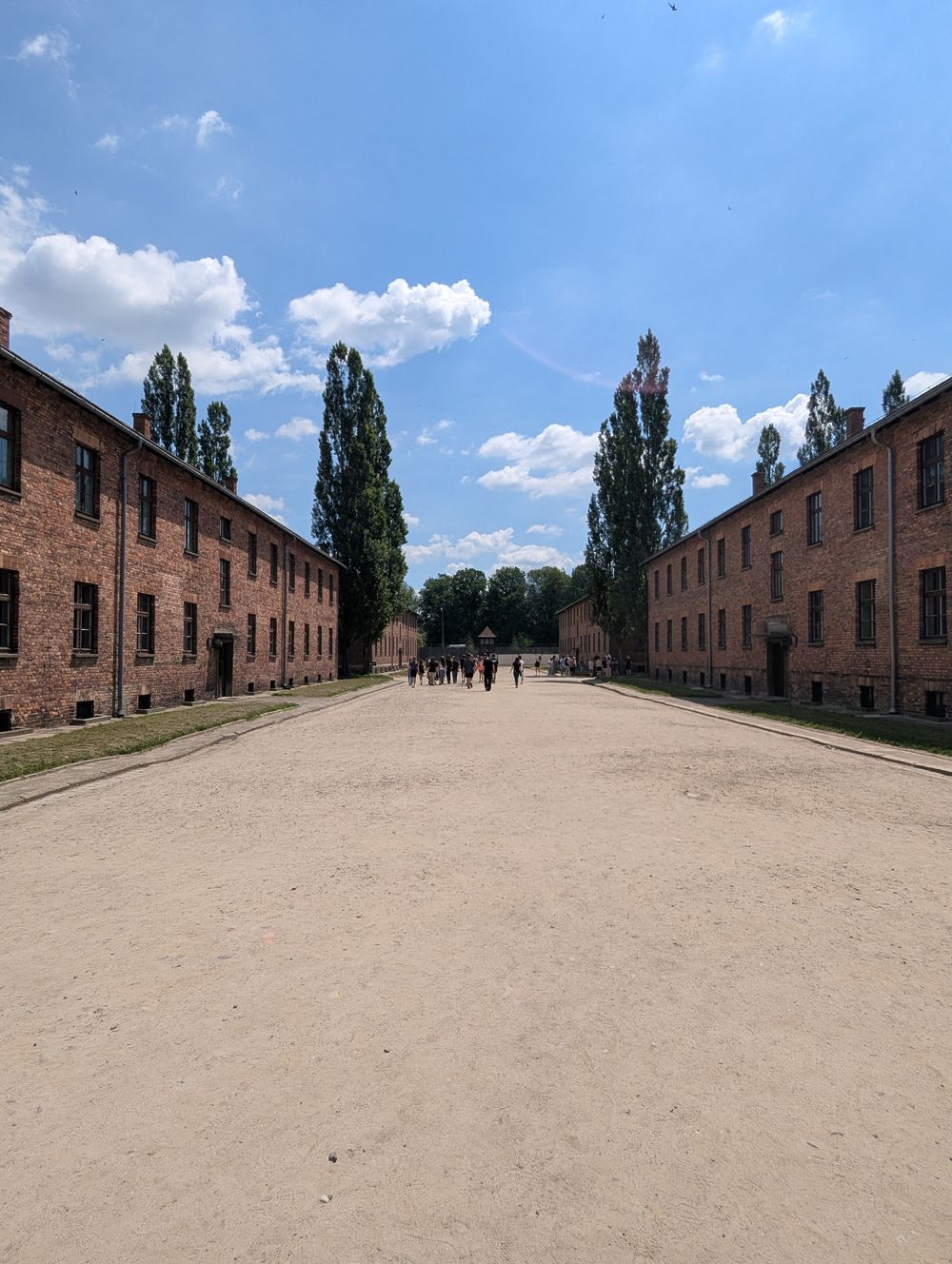Une large allée bordée de baraques en brique et de peupliers, dans le camp d'Auschwitz I.